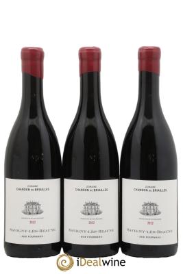 Savigny-lès-Beaune Aux Fournaux Chandon de Briailles