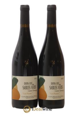 Saumur-Champigny Les Poyeux Domaine Des Sables Verts