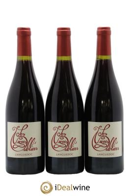 Languedoc Les Vignes Oubliées Autour du Cinsault Jean-Baptiste Granier