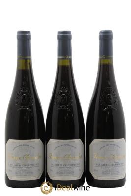 Saumur-Champigny Terres Chaudes Domaine des Roches Neuves - Thierry Germain