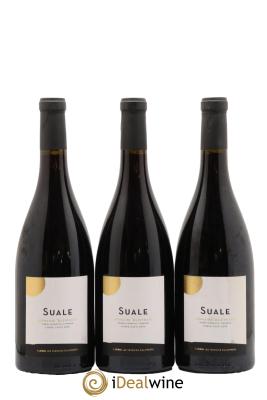 Calvi Suale Domaine Alzipratu 