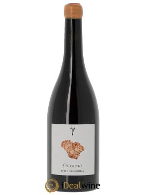 Vin de France Gamma Michel et Matthieu Delhommeau 