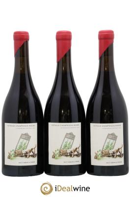 Coteaux Champenois Le Travers des Courtisols Domaine Sacy Sœur et Frere
