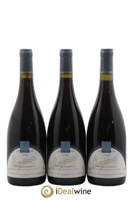 Saumur-Champigny La Marginale Domaine des Roches Neuves - Thierry Germain