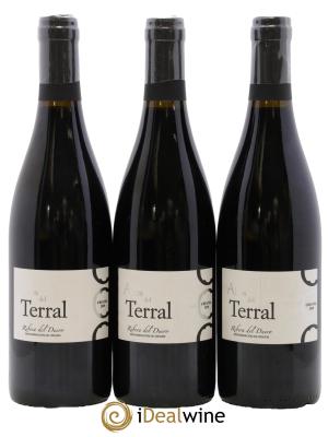 Ribera Del Duero DO Crianza Altos Del Terral