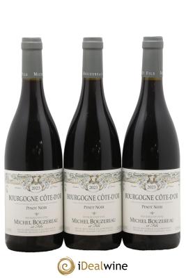 Bourgogne Côte-d'Or Michel Bouzereau et Fils (Domaine)