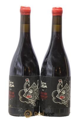 Côte de Brouilly Bonnet-Cotton (Domaine)