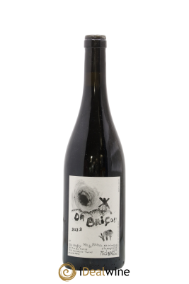 Vin de France Docteur Briçou Julie Balagny