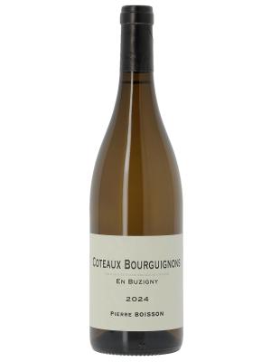 Coteaux Bourguignons en Buzigny Pierre Boisson (Domaine) 