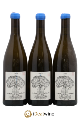 Muscadet-Sèvre-et-Maine Gaia Jérôme Bretaudeau - Domaine de Bellevue