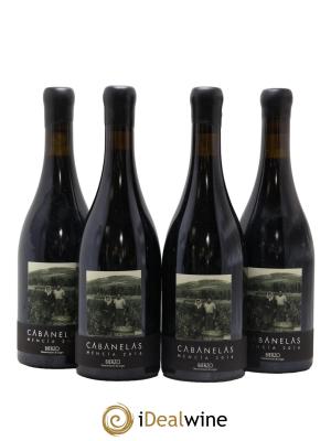 Espagne Bierzo Cabanelas Mencia