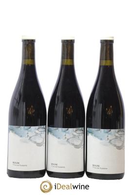 Beaune 1er Cru Les Toussaints Les Horées