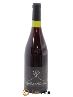 Vin de France Les Grandes Orgues Vignoble de l'Arbre Blanc