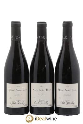 Morey-Saint-Denis Très Girard Cécile Tremblay