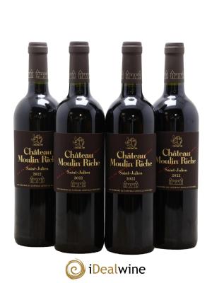 Château Moulin Riche