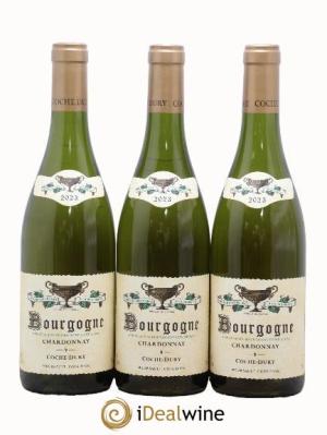 Bourgogne Coche Dury (Domaine)