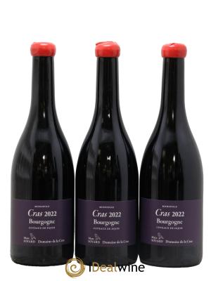 Bourgogne Cras Domaine de la Cras - Marc Soyard