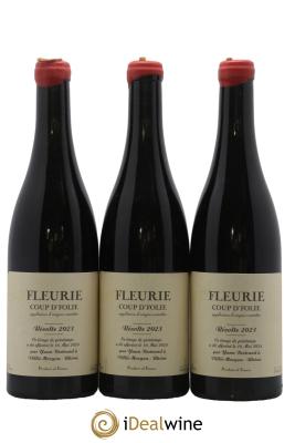 Fleurie Coup d'Folie Yann Bertrand