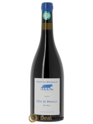Côte de Brouilly Brulhié Hadrien Brissaud 