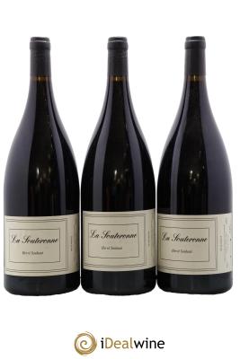 Vin de France La Souteronne Hervé Souhaut - Domaine Romaneaux-Destezet