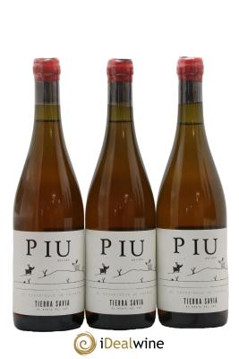 Espagne Tierra Savia Piu Anfora