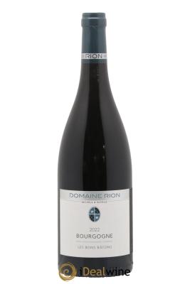 Bourgogne Les Bons Batons Patrice Rion