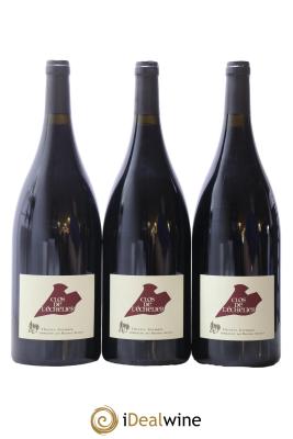 Saumur-Champigny Clos de l'Echelier Domaine des Roches Neuves - Thierry Germain