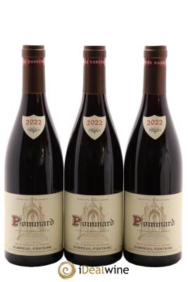 Pommard Domaine Dubreuil Fontaine