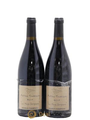 Saumur-Champigny La Haye Dampierre Antoine Sanzay