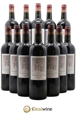 Les Pagodes de Cos Second Vin