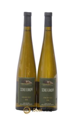Alsace Riesling Lieu-dit Fels Schieferkopf - Chapoutier