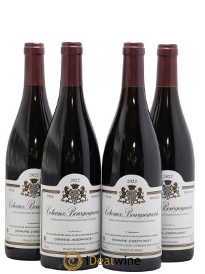 Coteaux Bourguignons Joseph Roty (Domaine)