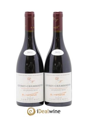 Gevrey-Chambertin Les Jeunes Rois Tortochot (Domaine)