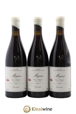 Vinos Atlanticos - Islas Canarias Migan Envinate