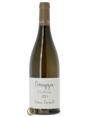 Bourgogne Antoine Lienhardt 