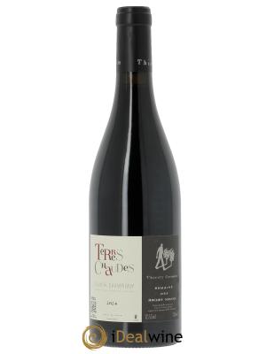 Saumur-Champigny Terres Chaudes Domaine des Roches Neuves - Thierry Germain 