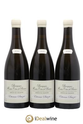 Buy Bâtard-Montrachet Grand Cru Etienne Sauzet 2021 (lot: 3a3df2e0