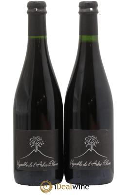 Vin de France Les Orgues Vignoble de l'Arbre Blanc