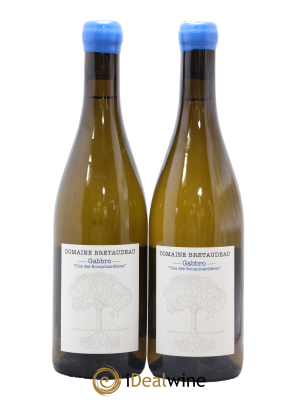 Muscadet-Sèvre-et-Maine Gabbro Clos des Bouquinardières Jérôme Bretaudeau - Domaine de Bellevue