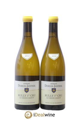 Rully 1er Cru Le Meix Cadot Vincent Dureuil-Janthial