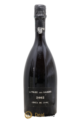 La Vigne aux Gamins Alain Thiénot