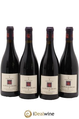 Pays d'Hérault Les Plôs De Beaume Domaine D'Aupilhac Sylvain Fadat