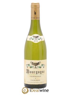 Bourgogne Coche Dury (Domaine)