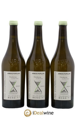 Arbois La Marcette Cellier Saint Benoît