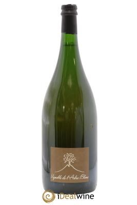 Vin de France Ma Carotte Vignoble de l'Arbre Blanc