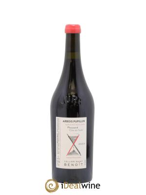 Arbois-Pupillin Ploussard Côte de Feule Cellier Saint Benoît