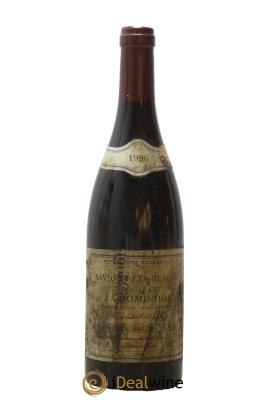 Savigny-lès-Beaune 1er Cru La Dominode Bruno Clair (Domaine)