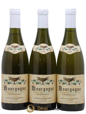 Bourgogne Coche Dury (Domaine)