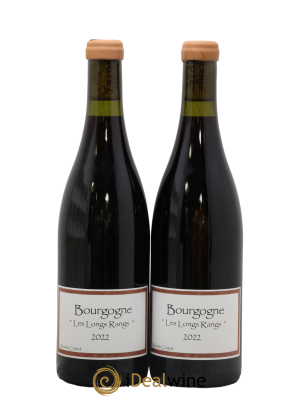 Bourgogne Les Longs Rangs Domaine Maxime Crotet