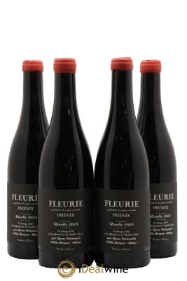 Fleurie Phénix Yann Bertrand